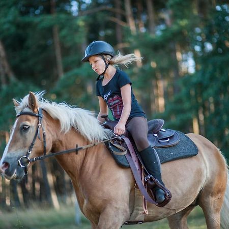 Traumhaff Denkmalgeschuetzter Amalienhof Sauna, Offener Kamin, Hund Ahlbeck  Zewnętrze zdjęcie